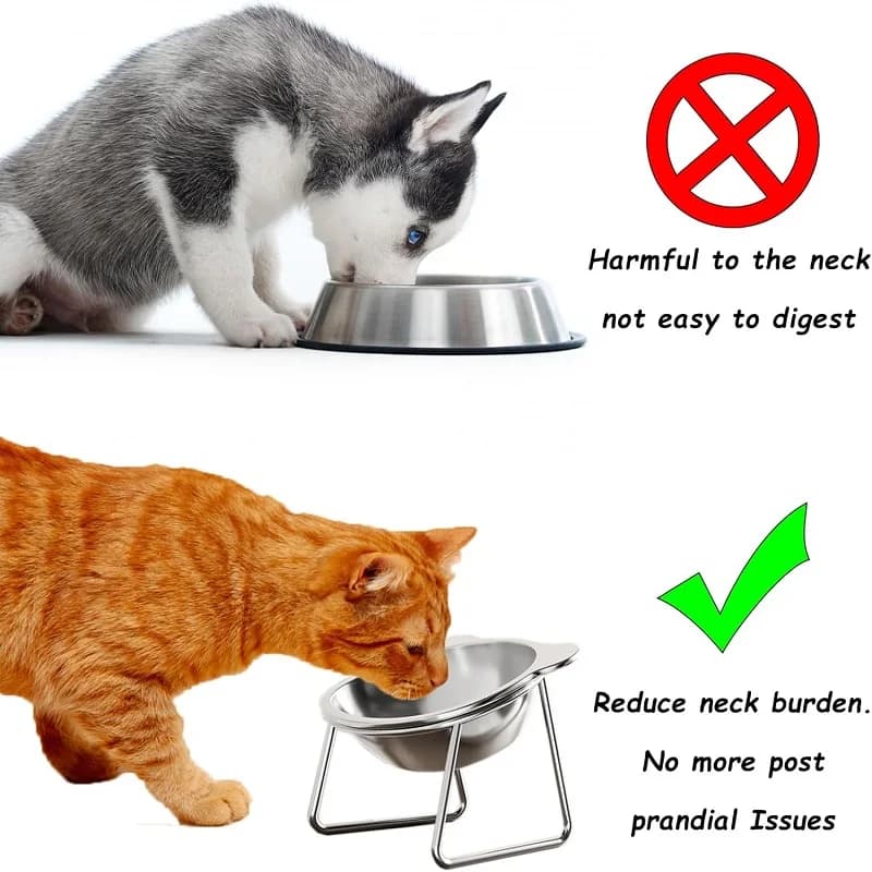 Cat Bowls Tilted Neck Guard Cat Food Bowl Indoor Stainless Steel Shatter Resistant Elevated 15° Pet Bowl For Kitten Puppy - 3