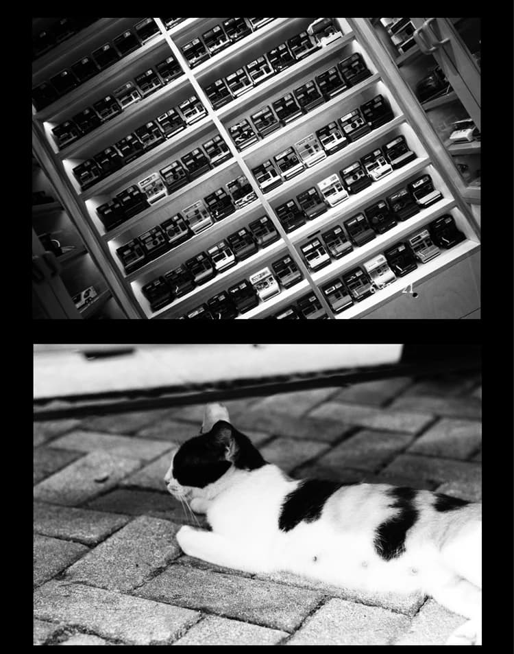 1/10 رول فوجيفيلم نيوبان أكروس Ⅱ أيزو 100 أفلام 120 ملم فيلم للطباعة الاحترافية بالأبيض والأسود 36 ورقة لكاميرا فيلم 120 - 6