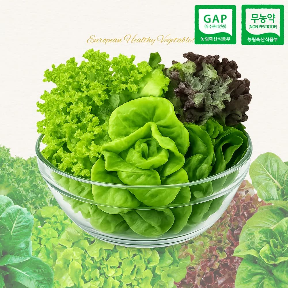 [10% Discount on Coins][if the Representative Says It's Good, the Price Will Be Reduced...] Gap Certified Pesticide-Free European Mixed Vegetables 1kg, Random 3-5 Types