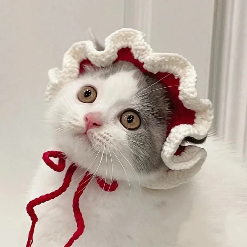 Cute Cat Hat Funny Pets Party Cosplay Headwear Delicate Hemming Pendant Decor Elasticity Knitted Hat Pet Accessories - 3