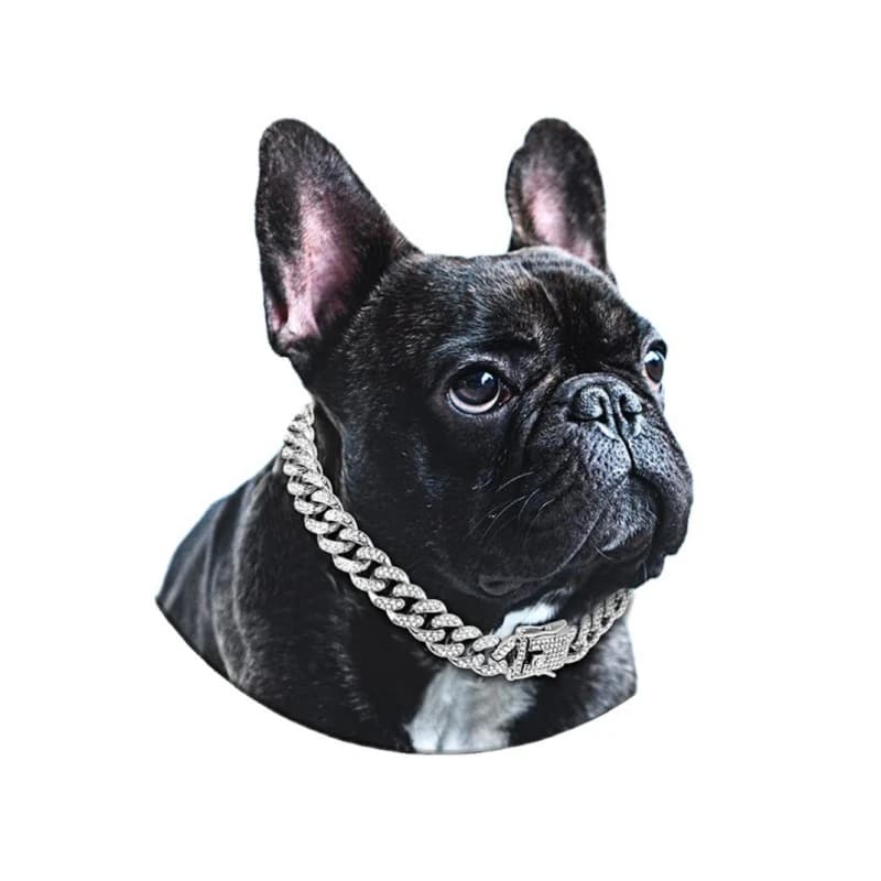 Dog Chain Diamond Cuban Collar Walking Metal Chain Collar with Design Secure Buckle, Pet Cat Cuban Collar Jewelry Accessories - 6
