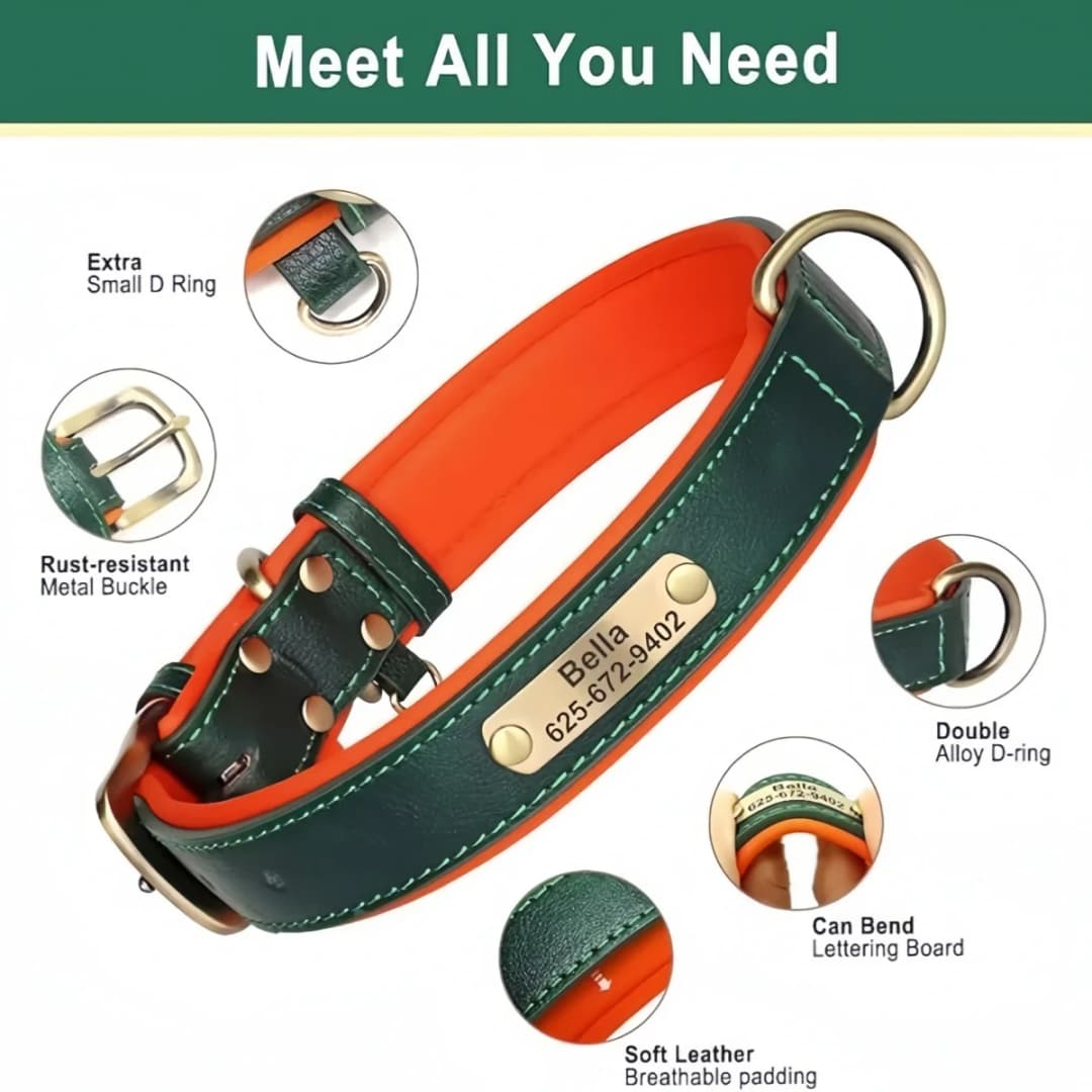Personalized Customized Leather ID Nameplate Dog Collar Soft Padded Dogs Collars Free Engraving Name for Small Medium Large Dogs - 3