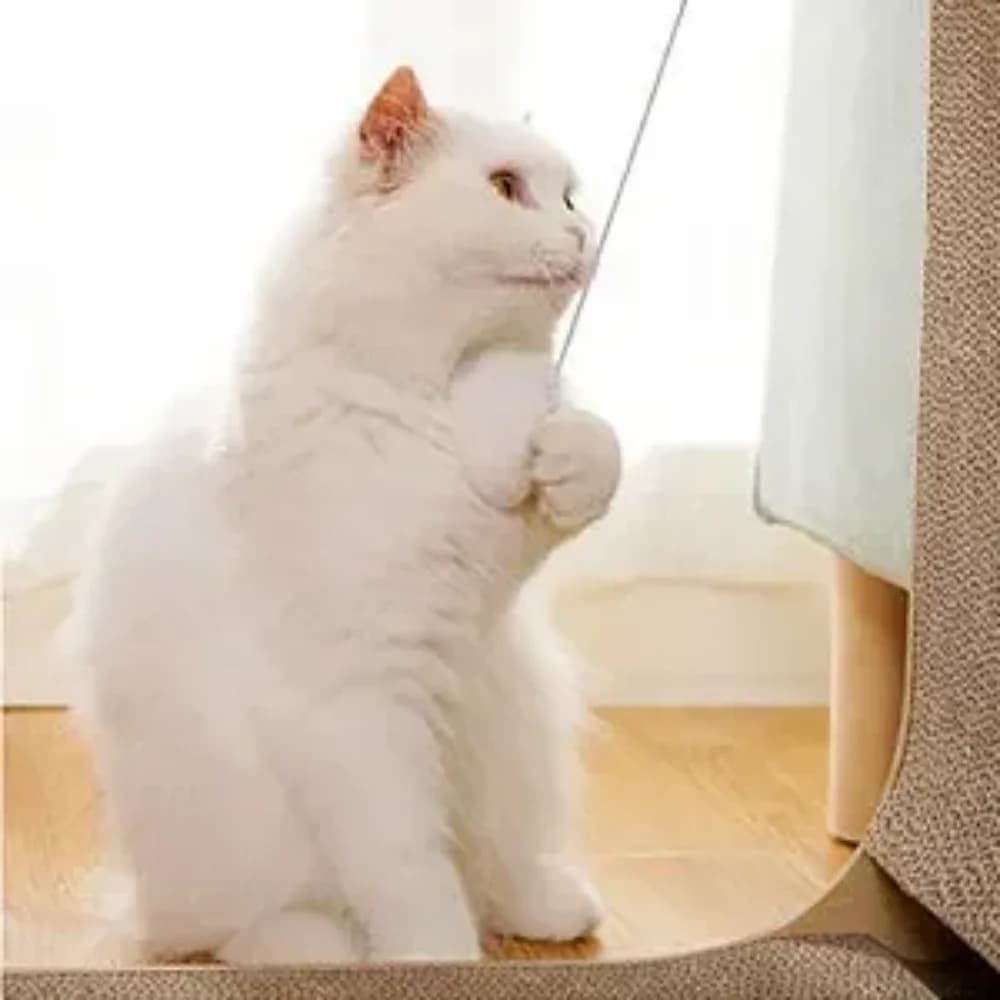 عمود خدش للقطط من الورق المقوى كبير/صغير على شكل L مقاوم للاهتراء والخدش - 3