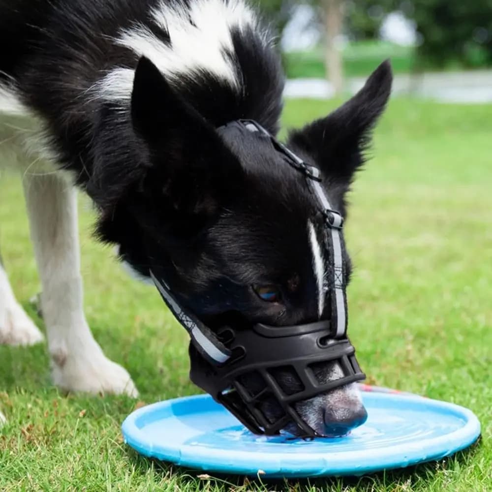Adjustable Dog Muzzle Anti-Biting Dog Mouth Cover With Reflective Strip Can Drink Water Breathable Plastic - 3