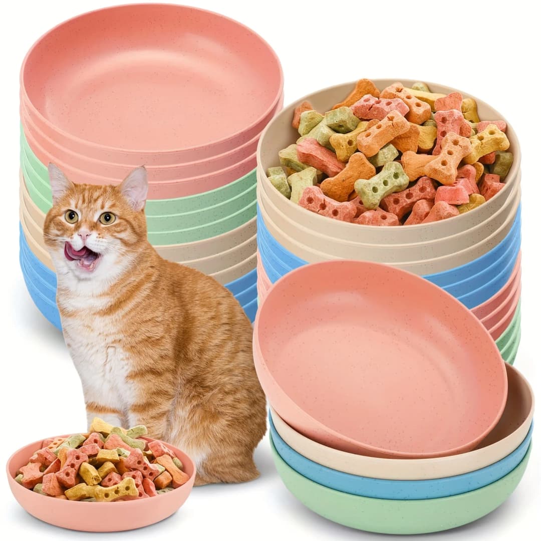 Pack of 4 whisker-friendly cat bowls - Shallow, non-slip, colorful feeding dishes for easy eating - Perfect for small cats, kitt - 2