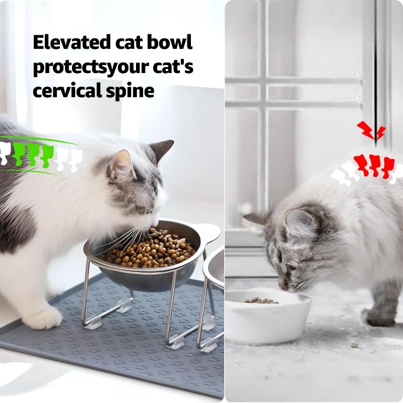 ‌304 Stainless Steel Raised Cat Bowl with 15° Elevated Design Tilted Neck Guard Healthy Feeding Shatterproof for Cats Puppies - 2