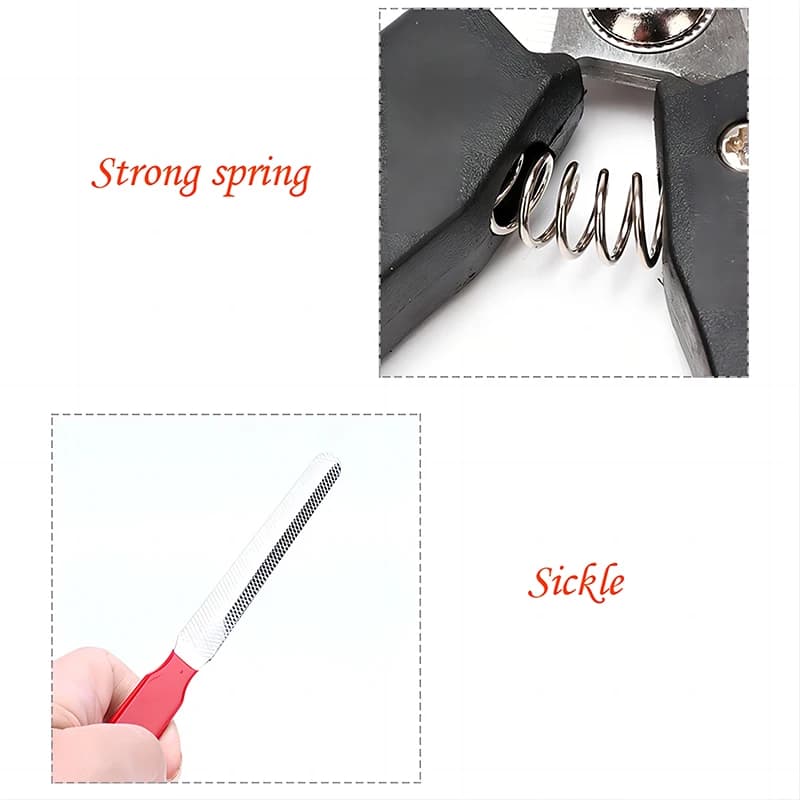 Pet Nail Clippers with Sickle Large Dog Nail Clippers Stainless Steel Grooming Scissors Nail Clippers Multifunctional Teddy Cat - 3