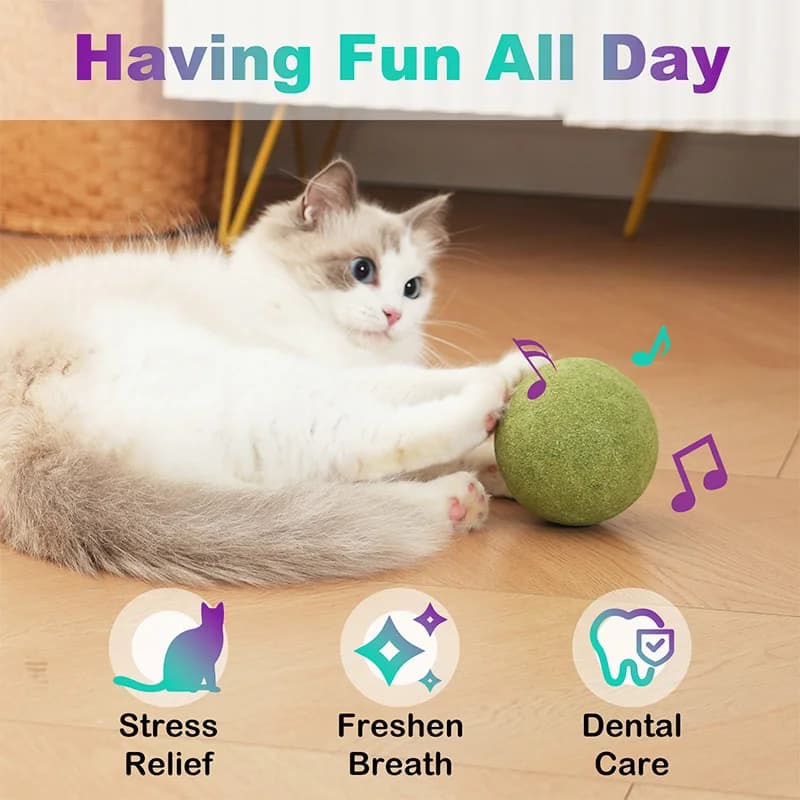 كرة نعناع بري كبيرة (10 سم) للقطط والهريرة، لعب ذاتي، تخفيف التوتر، داخلي وخارجي - 4