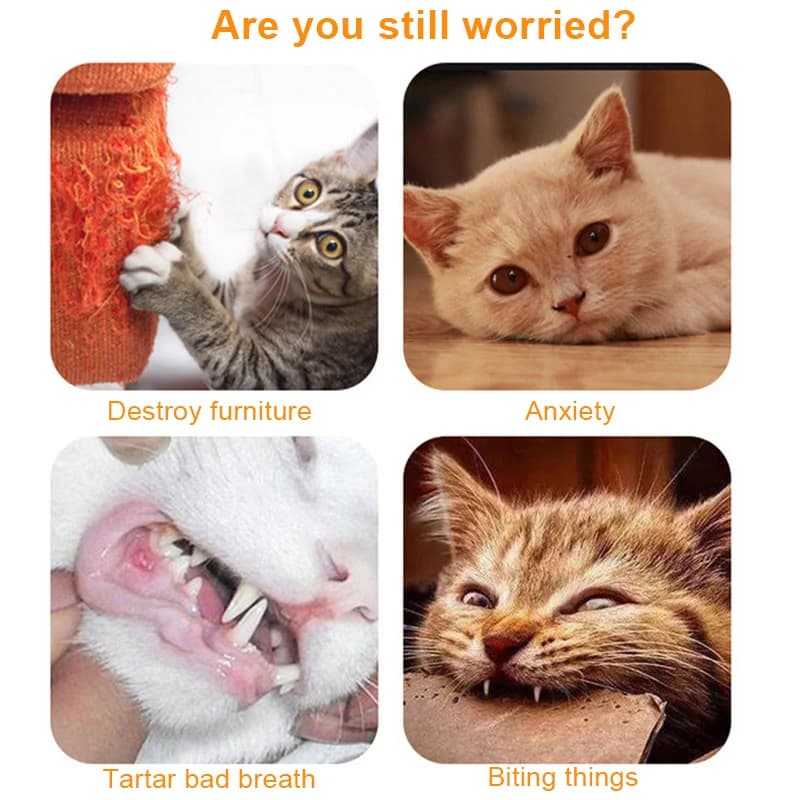 لعبة قطيفة للقطط مقاومة للعض وسادة نعناع القطط للقطط الصغيرة لعبة تفاعلية ناعمة لوازم الحيوانات الأليفة - 5