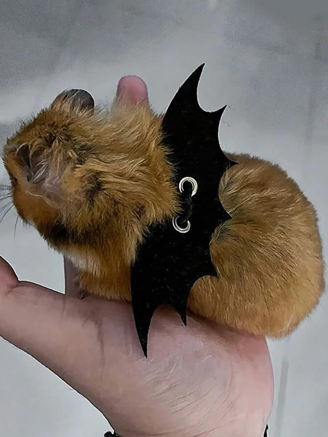 حبل جر للحيونات الصغيرة مثل الهامستر، حزام خروج مع فرع زهرة للهامستر - 4