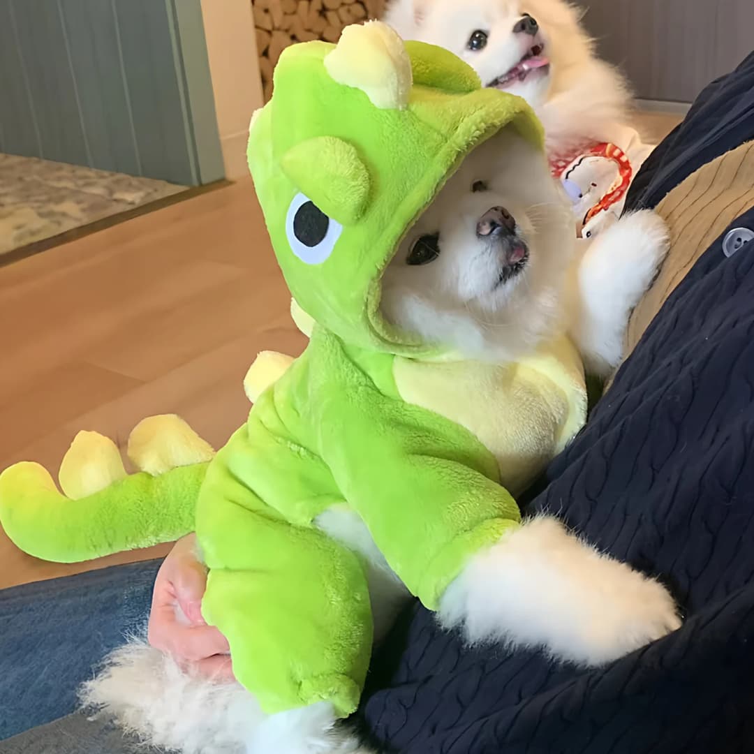 Warm Dinosaur Four-Legged Dog Clothes for Small Dogs And Cats Daily Wear Autumn Winter Cute Costume Pet Apparel Aomar Brand - 5