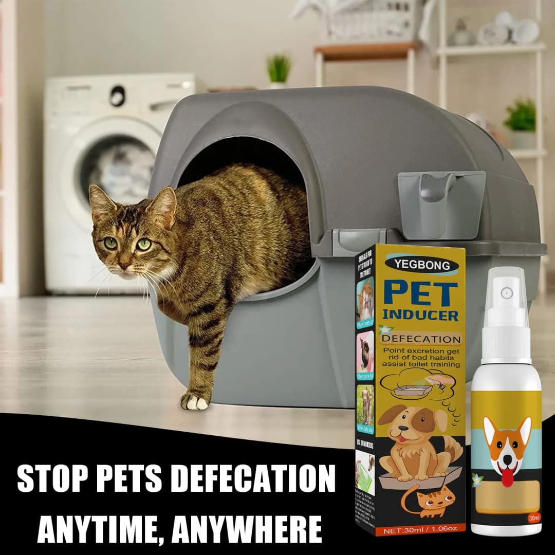 Dog Potty Training Spray Cats Kitten Outdoor Urine Poops Stool Location Helps Puppies Toilet Pet Positioning Defecation Inducer - 4