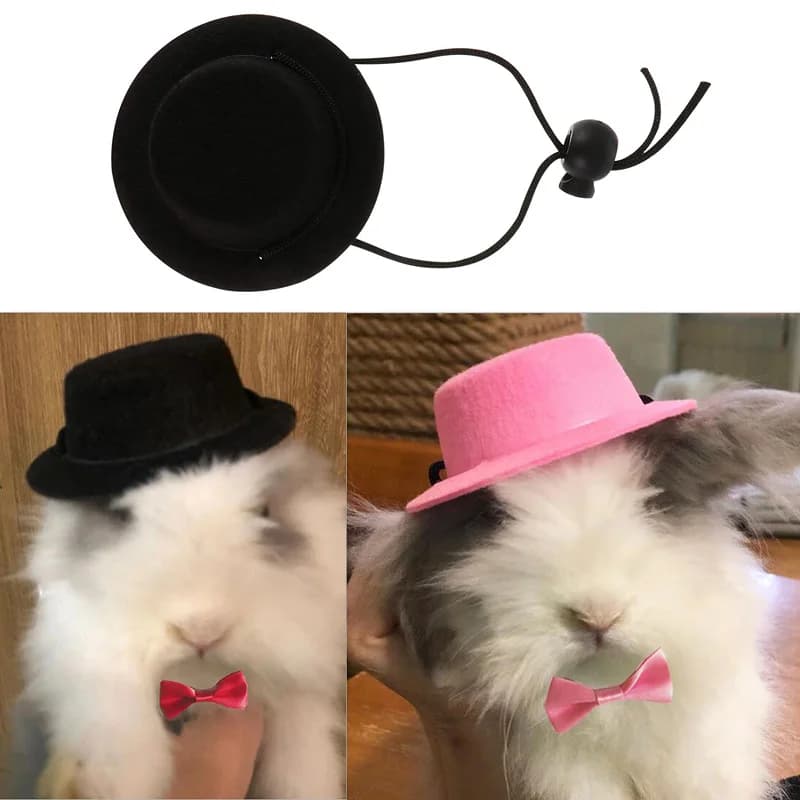 طقم مكون من قطعتين: قبعة وربطة عنق للخنازير الغينية والهامستر، زي تنكري للفئران والشينشيلا، قبعة أنيقة للأرانب، إكسسوارات للحيوانات الأليفة الصغيرة - 6