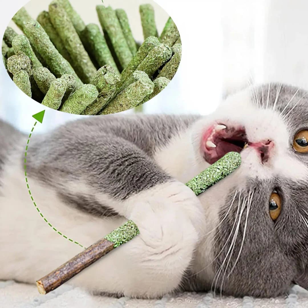 Cat Grass Sticks Indoor Cat Teething Grass Sticks Teething Stick Snacks For Cats Cat Grass Sticks For Hairball Removal - 3