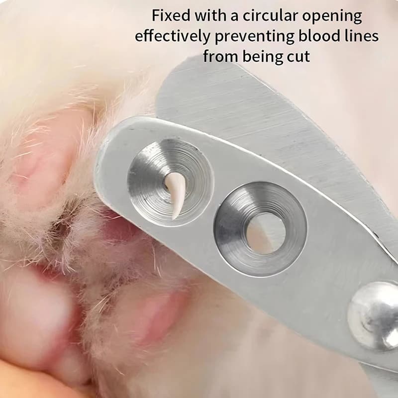 Cat Nail Clippers Professional Small Cat Dog Stainless Steel Puppy Claws Cutter Pet Nail Grooming Clippers Trimmer - 6