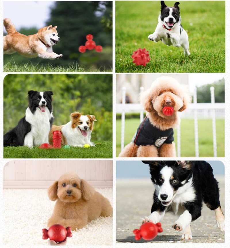 Bite Resistance Dog Chew Toys Multiple Styles Durable TPR Pet Toy for Small Medium Large Dogs Puppy Tooth Cleaning Supplies - 4