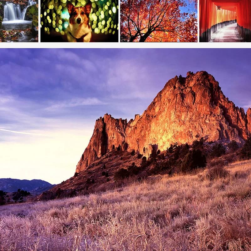 فوجيفيلم فيلم أصلي فوجيفيلم فيلفيا 100 RVP135 فيلم احترافي عكسي إيجابي 35mm لكاميرا فيلم 135 35mm - 4