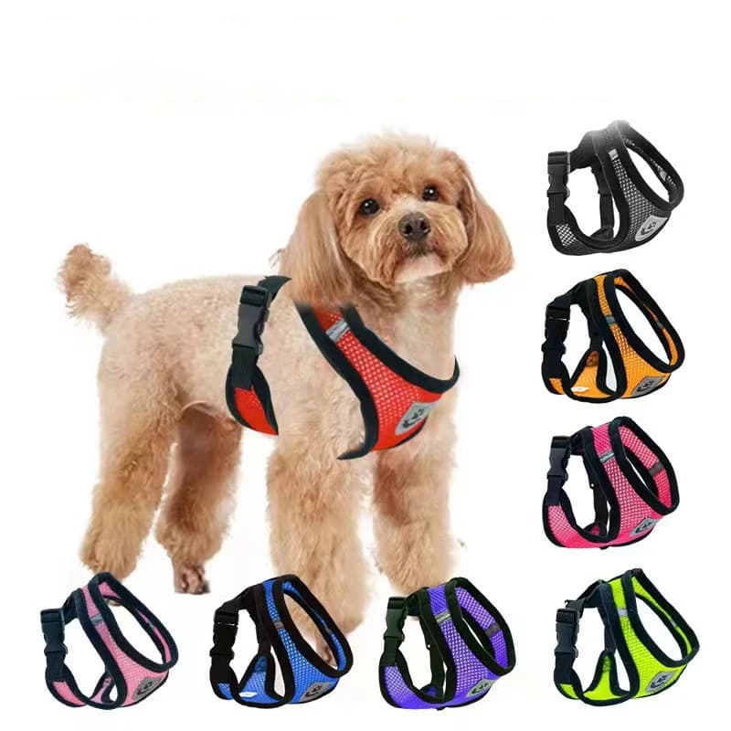 New Cat Harness Vest Walking Leash For Puppy dog Collar Polyester Adjustable Mesh Dog Harness For Small Medium Pet Accessories - 2