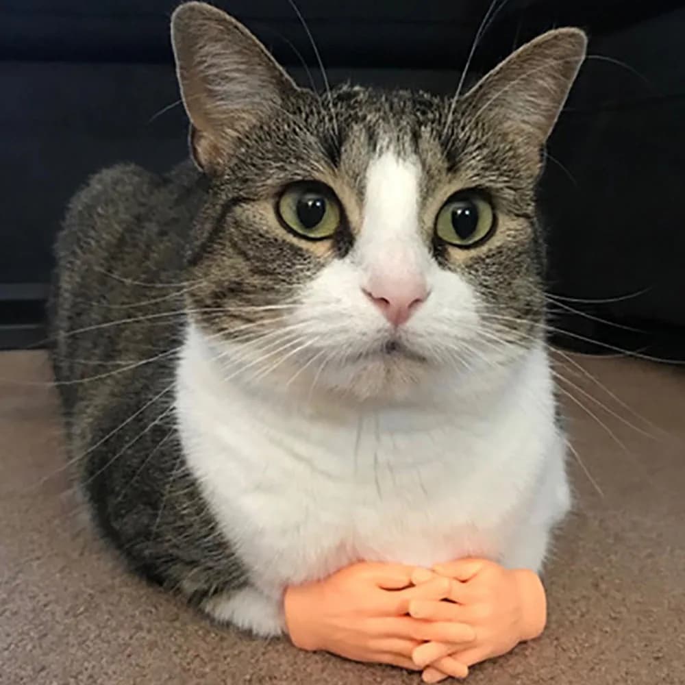 Adult Kid Novelty Toys Funny Mini Hands Creative Finger Fidget Toys Simulation Soft Small Hand Tease the Cat Pet Toy Simulation - 3