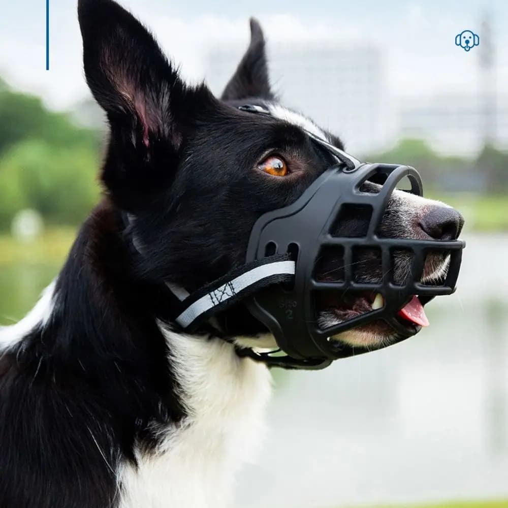 Adjustable Dog Muzzle Anti-Biting Dog Mouth Cover With Reflective Strip Can Drink Water Breathable Plastic - 4