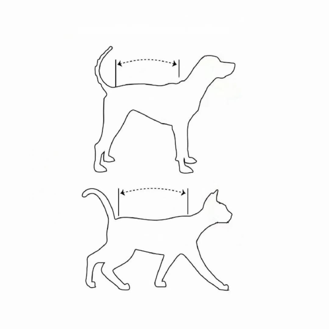 ملابس للحيوانات الأليفة مع وشم، مناسبة للكلاب والقطط، تصميم عصري ومرح، مناسب لجميع الفصول - 5