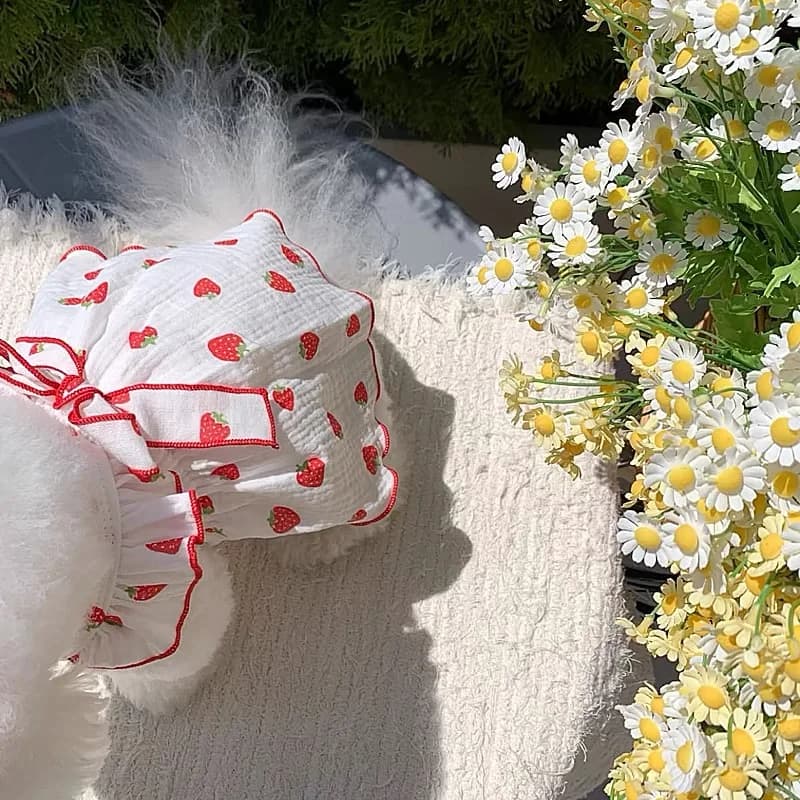 الفراولة طباعة كلب فستان 2025 الكلب الملابس لطيف القوس الصيف جرو زي تشيهواهوا الفرنسية البلدغ الملابس القط الكلب ملابس السباحة - 5