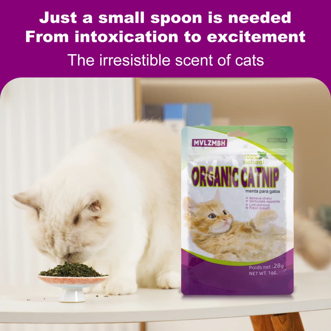 عضوي 100% طبيعي عالي الجودة النعناع البري الماشية العشب النعناع طعم مضحك القط لعبة جديدة لعبة القط التفاعلية مستلزمات الحيوانات الأليفة - 4