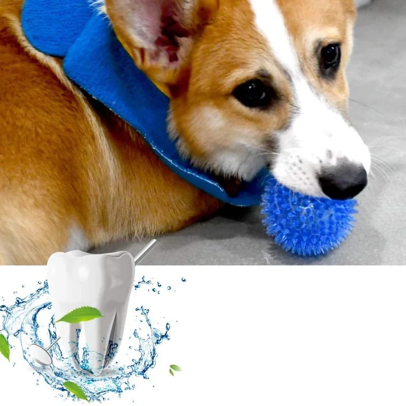 Squeaky Puppy Big Dog Ball Chew Toy for Small Medium Dogs Teeth Cleaning Pet Accessory Ideal for French Bulldogs Corgis - 2