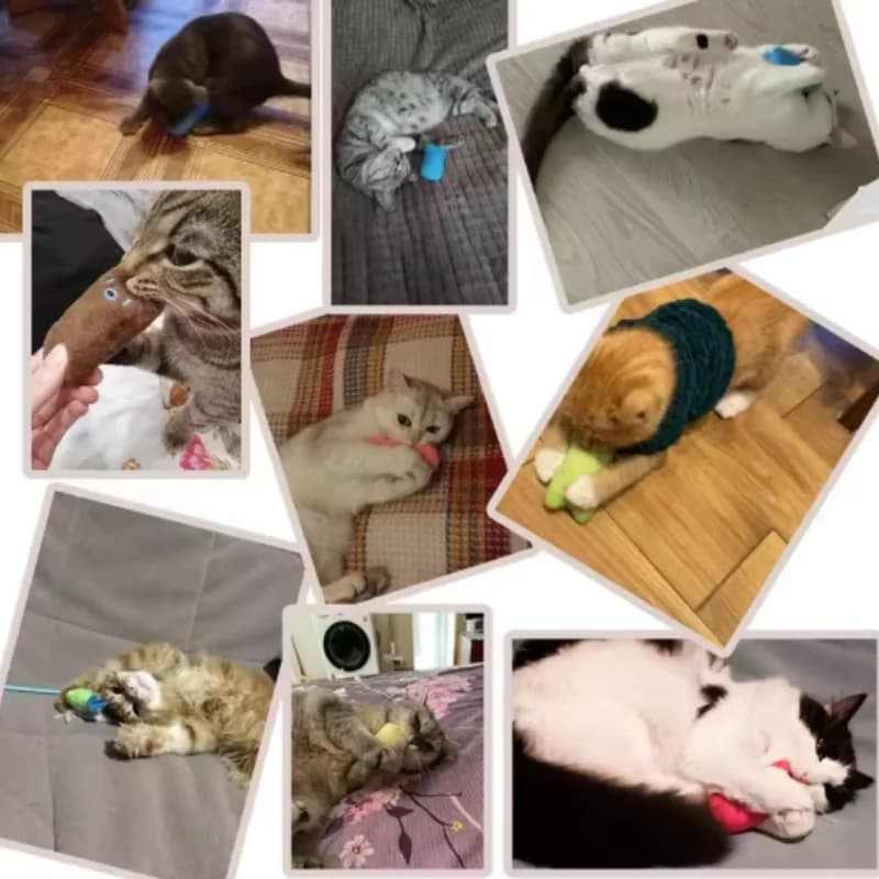 Teeth Grinding Catnip Toys Funny Interactive Plush Cat Toy Pet Kitten Chewing Vocal Toy Claws Thumb Bite Cat mint For Cats - 3