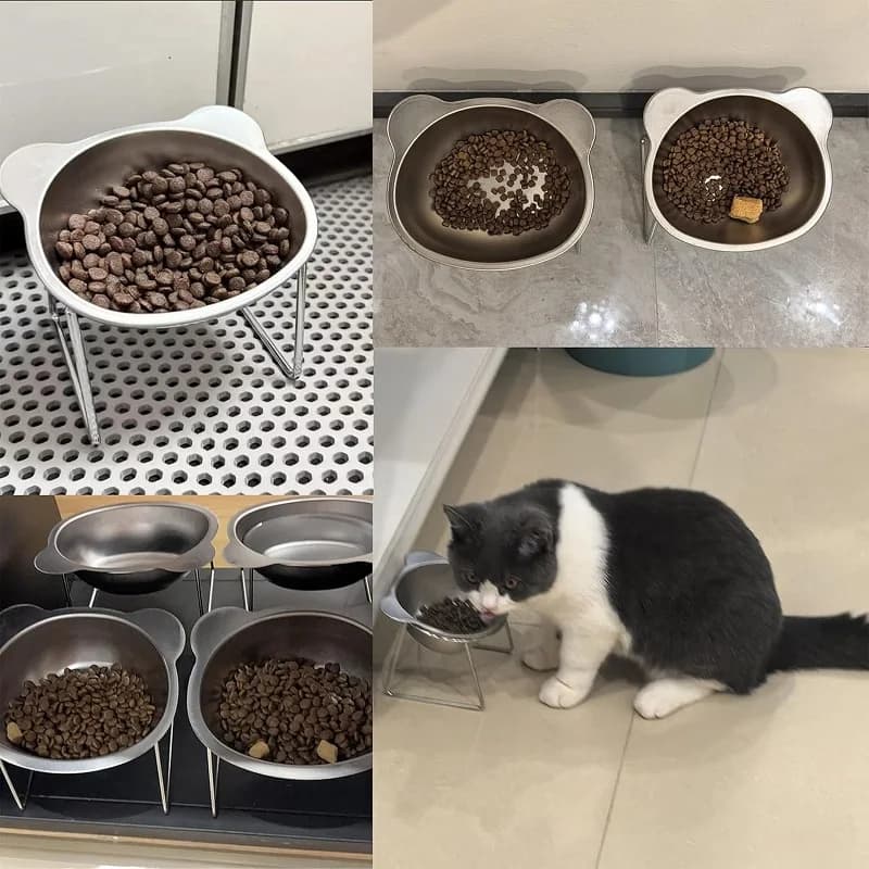 Cat Bowls Tilted Neck Guard Cat Food Bowl Indoor Stainless Steel Shatter Resistant Elevated 15° Pet Bowl For Kitten Puppy - 5