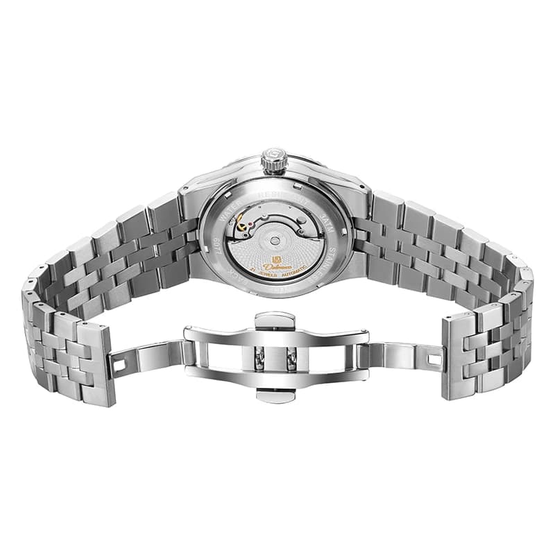 Luxury Automatic Mechanical DULUNWE Men's Watch Date Man Watch Waterproof Luminous Business Watches For Men Reloj - 6