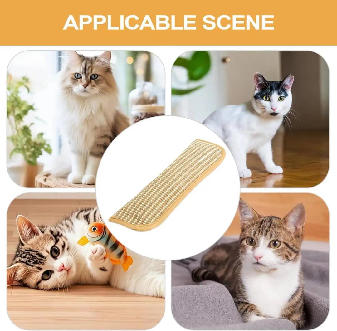 Cat Scratcher Interactive Toys for Cat Catnip Pillow Kitten Claw Grinder Scratching Post for Cats Chew Bite Toys Catnip Toy - 5