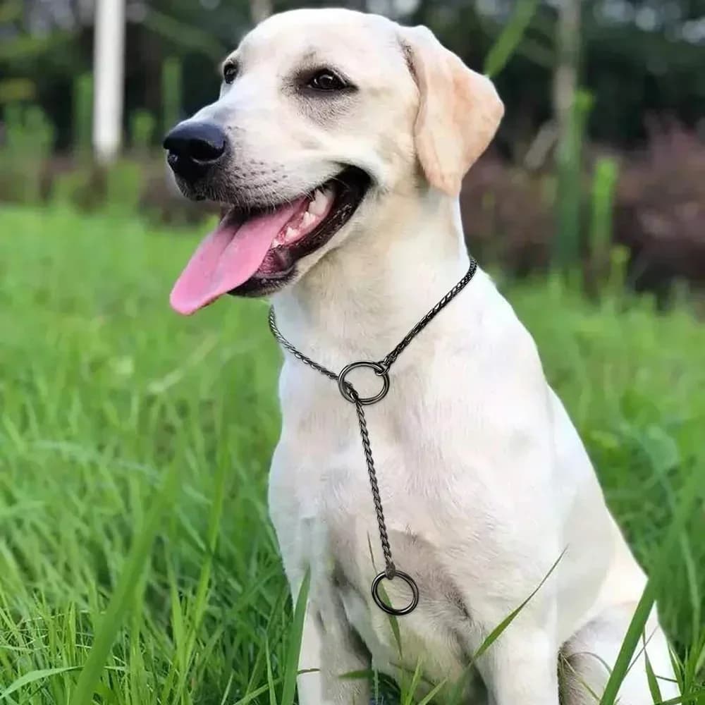 طوق كلب سلسلة ثعبان طوق خنق سلسلة معدنية طوق كلب قلادة للمشي والتدريب مستلزمات حيوانات أليفة للكلاب الصغيرة والمتوسطة والكبيرة - 5