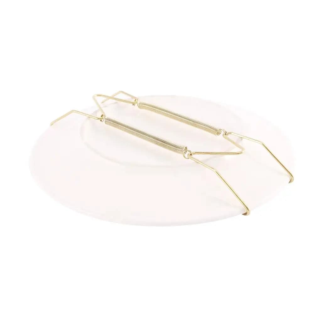 6/7/8/10/12/14/16 Inch Home Decor Wall Display Fixed Dish Plate Dish Hanger Decoration Crafts Dish Spring Holder Securing clip - 4