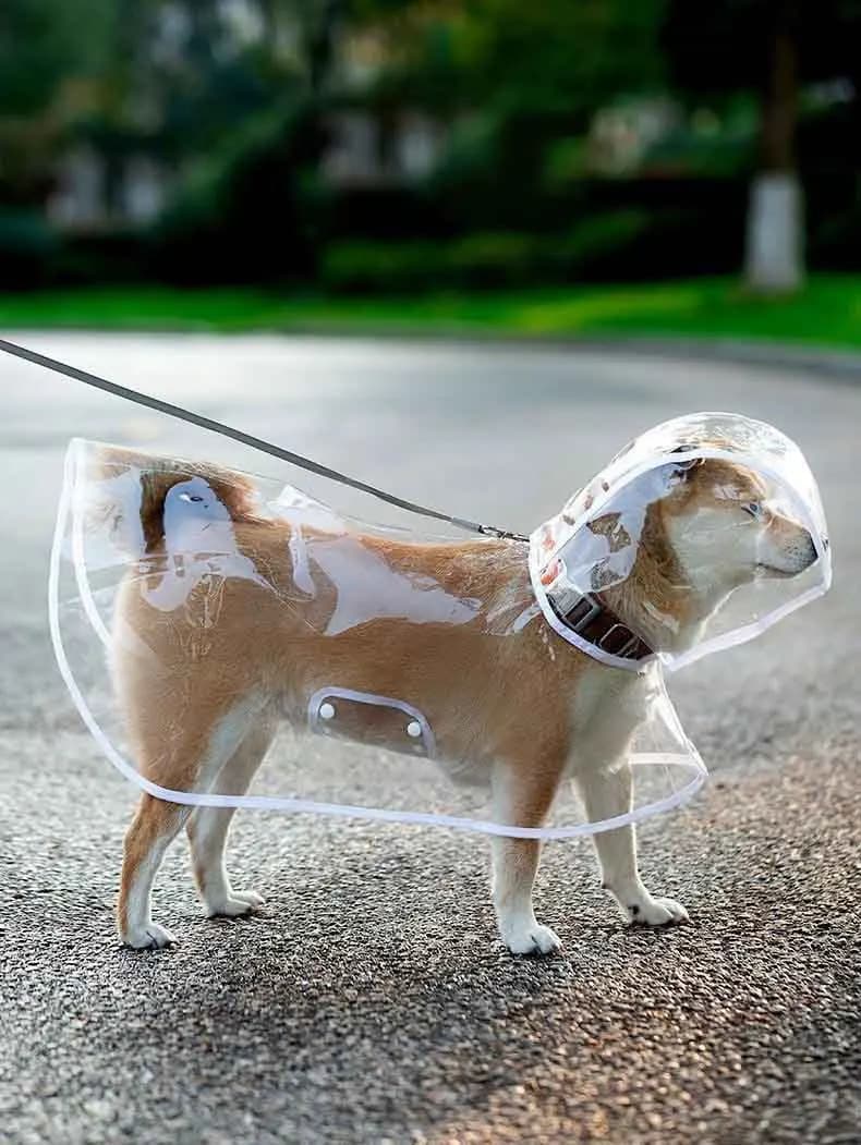 Dogs going out, transparent waterproof raincoat with hat pet raincoat - 3