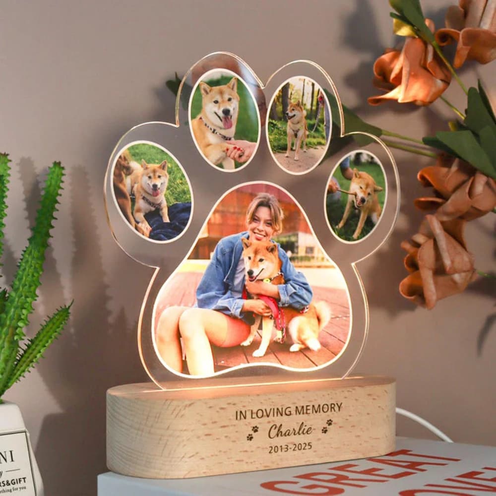 Custom Dog Cat Photo Memorial Night Light Light Up Pet Memorial Plaque Personalized Pet Keepsake Sign Sympathy Gift for Pet