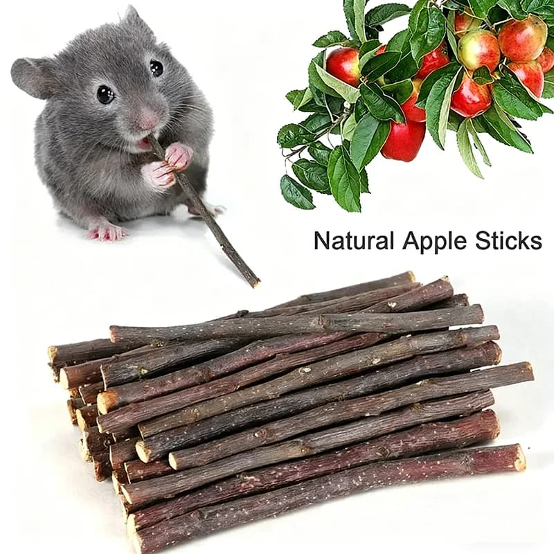 عصي مضغ من خشب التفاح الطبيعي، لتنظيف الأسنان، للحيوانات الصغيرة مثل الأرانب والهامستر - 6