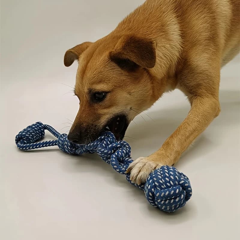 1pc Dog Toy Knot Rope Ball Cotton Rope Dumbbell Puppy Cleaning Teeth Chew Toy Durable Braided Bite Resistant Pet Supplies - 3