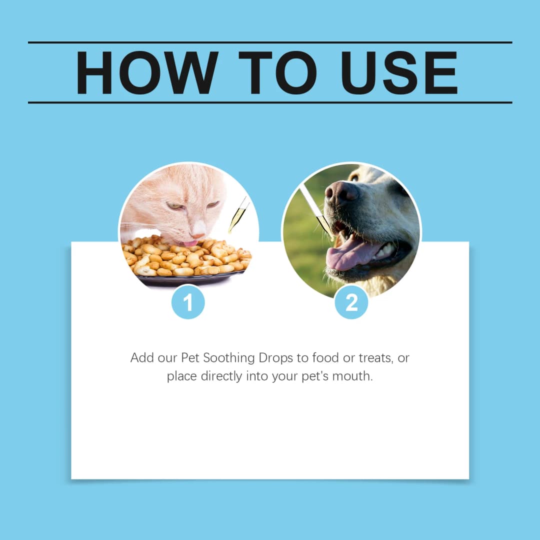 Pet Immunity Boost Care Drops to Relieve Stress and Pain, Enhance Pets' Immunity, Care Supplement for Dogs and Cats - 4