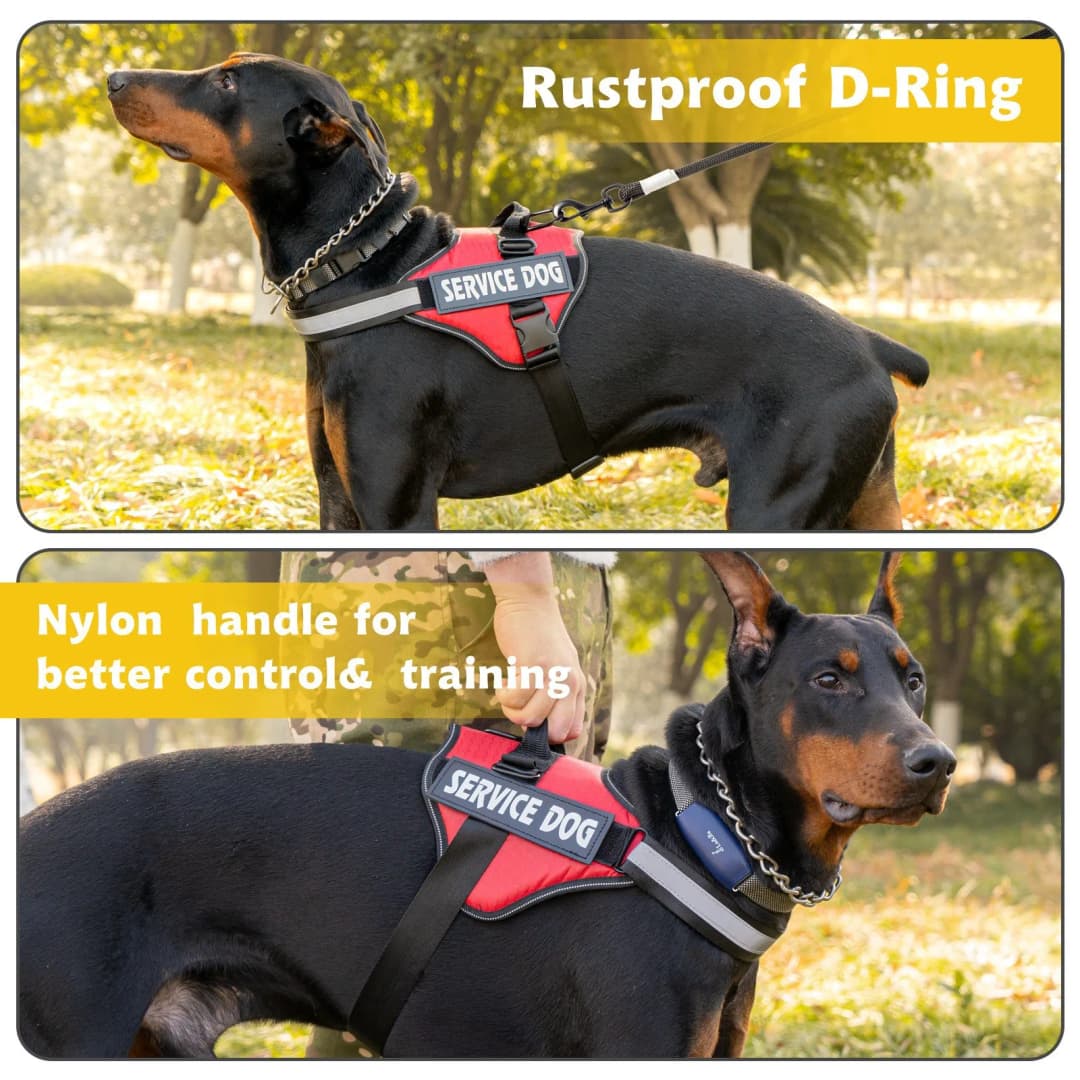 Chest Strap Dog Vest Harness Medium and Large Dog Border Collie Golden Hair Bucket Explosion proof Flushing Dog Harness - 6