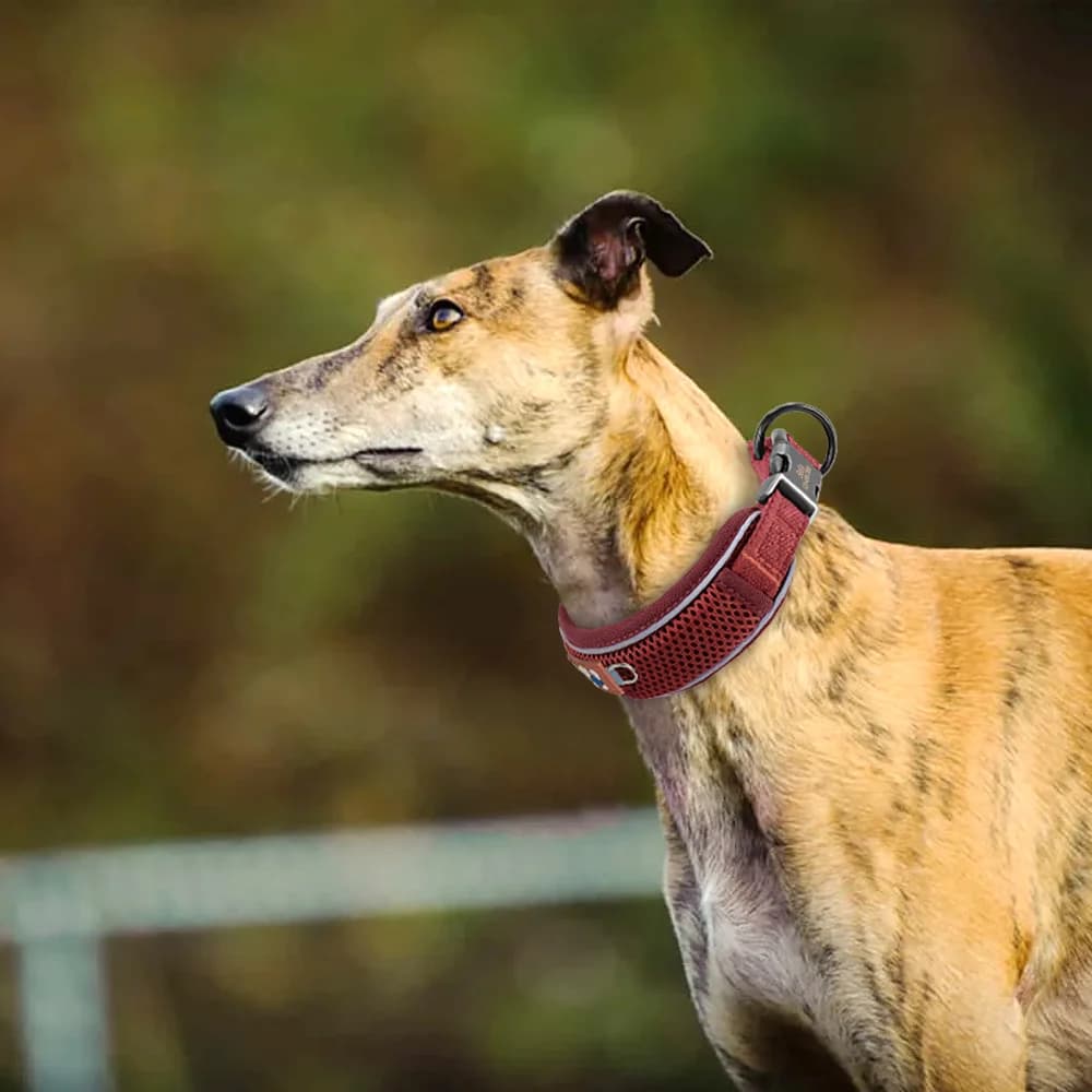 Personalized Dog Collar Mesh Breathable Dog Collars Reflective Pet Necklace Durable For Small Medium Large Dogs Free Engraving - 5