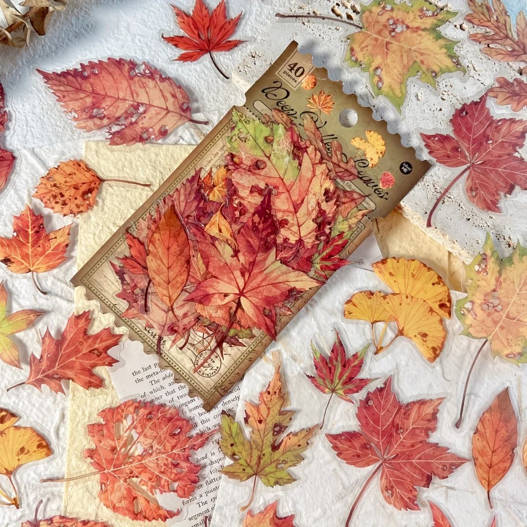 40 ملصق ورقي لموضوع الخريف والفطر، لصنع المجلات وألبومات الصور، لوازم قرطاسية جمالية - 4