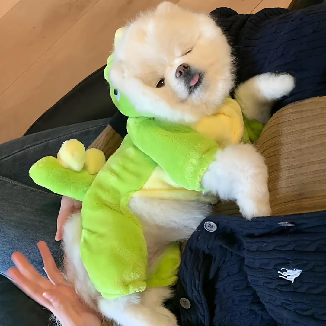 Warm Dinosaur Four-Legged Dog Clothes for Small Dogs And Cats Daily Wear Autumn Winter Cute Costume Pet Apparel Aomar Brand - 3