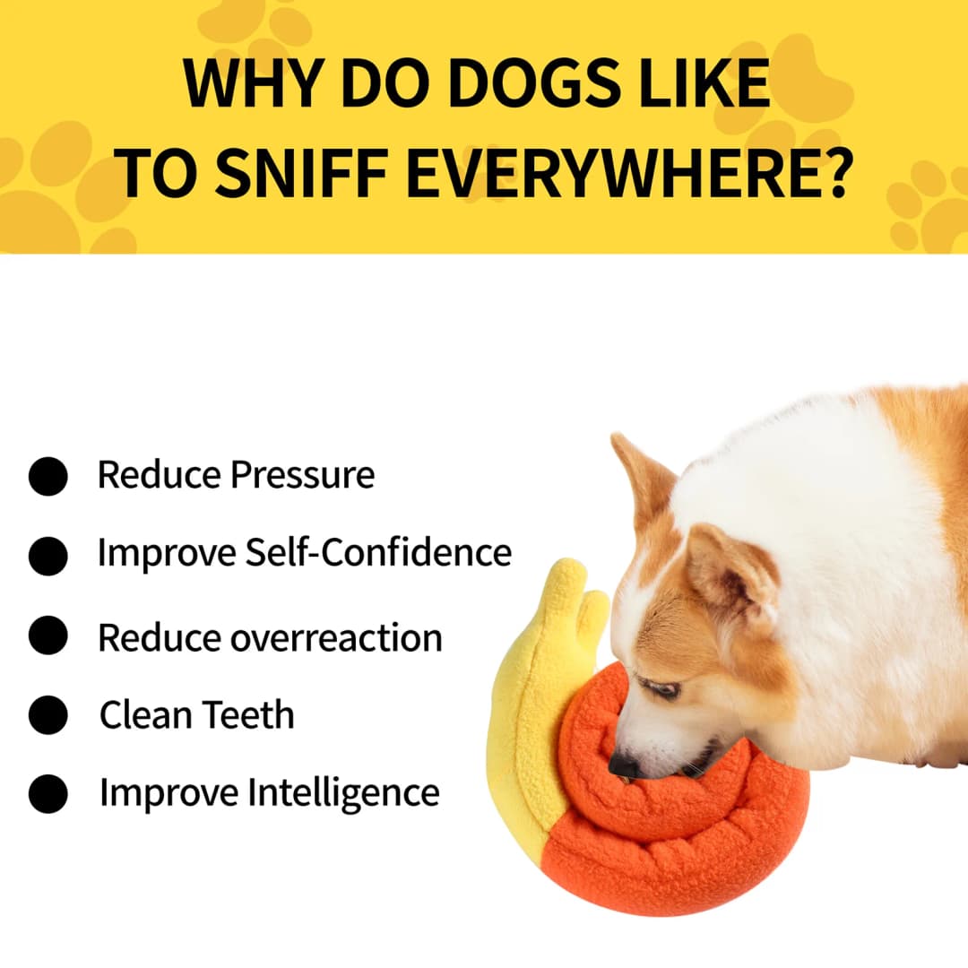 ألعاب صراخ للكلاب لعبة شم محشوة حلزون طعام تيبتي ألعاب تعليمية تفاعلية للقطط والكلاب مغذية الحيوانات الأليفة - 2