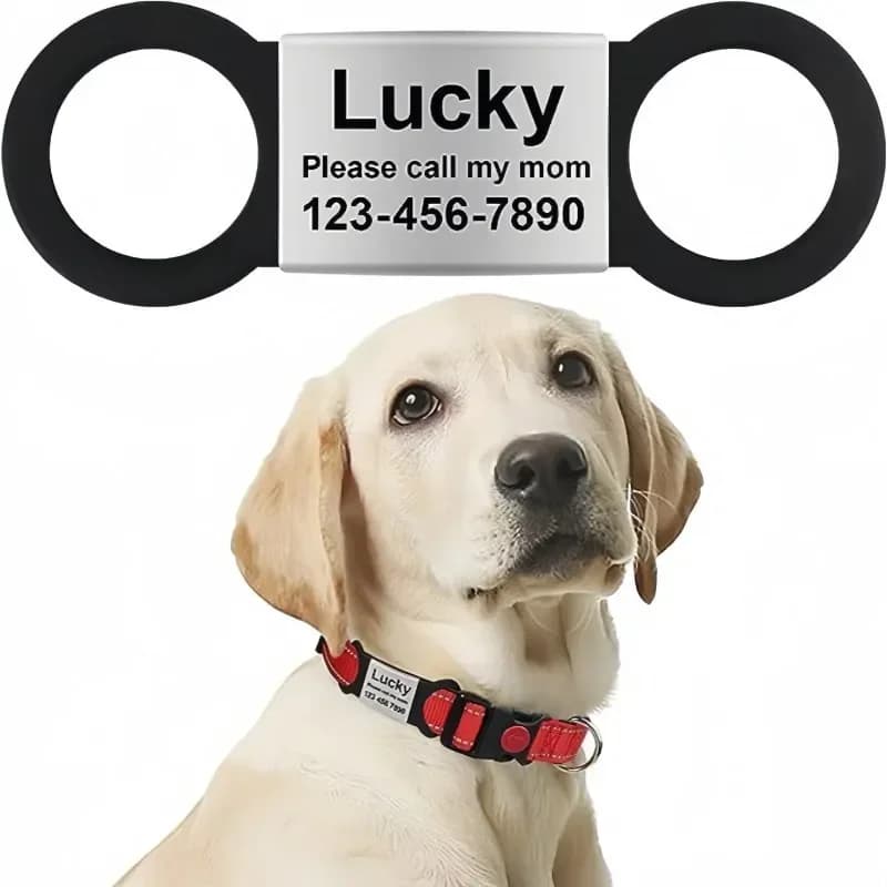 Custom Cat Dog ID Personalized Pet Collar Tag Engraving Charm Name Pendant Bne Necklace Puppy Key Ring Pet Accessories - 2