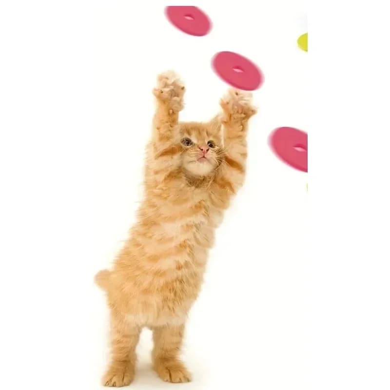 Funny Cat Toys Creative Turnip Gun with 15pcs Reusable Foam Disc Pet Hunting Interactive Toy Dog Cat Pet Supplies - 6