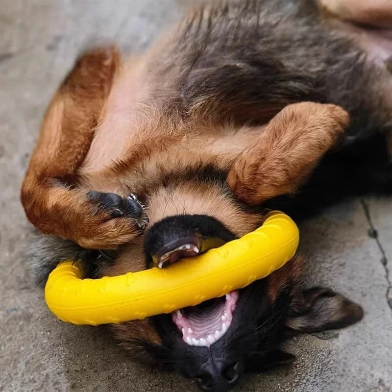 Dog Ring Toys Indestructible Chewing Flying Floating Training Tools Fetch for Small Medium Large Dogs Throwing Catching Flying - 4