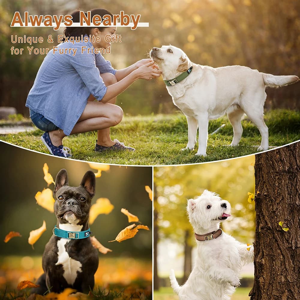 Personalized Nylon Dog Collar Adjustable Dog Collars Customized Pet ID Collar for Small Medium Large Dogs Free Engraving - 5