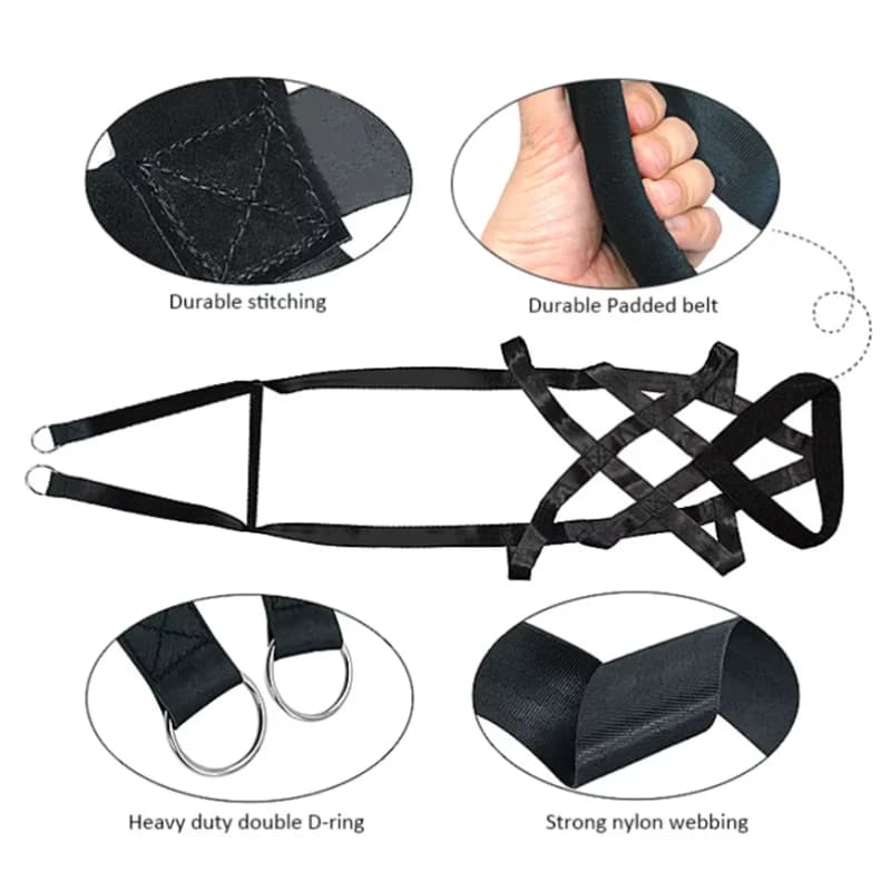 حبل تدريب الكلاب الكبيرة، حزام أمان للتدريب السلوكي، حبل متين لعشاق الزلاجات الكلاب - 4