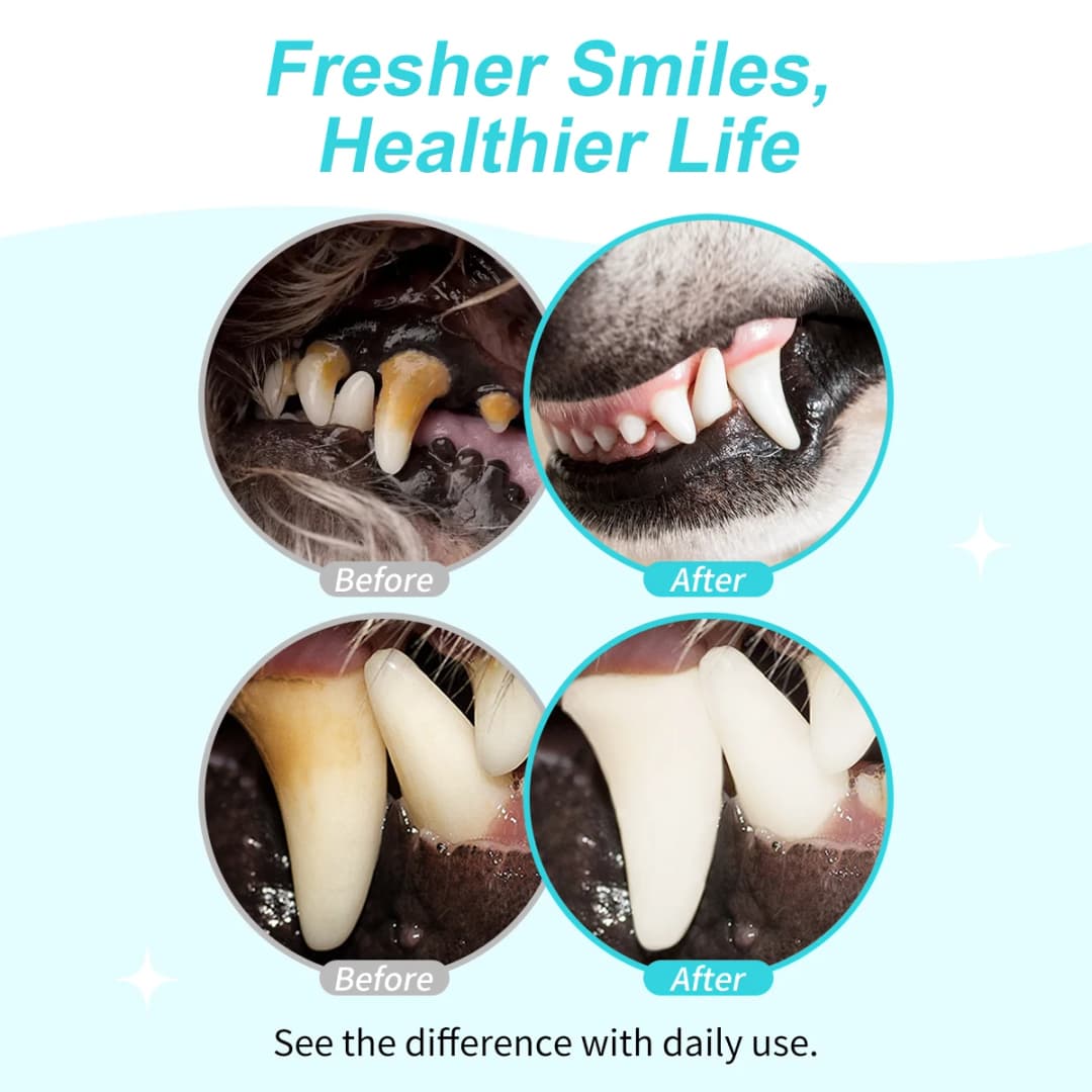 GJYC PET Concentrated Pet Mouthwash Oral Care Tartar Removal Fresh Breath Odor Eliminator Teeth Whitening For Dogs Cats - 3